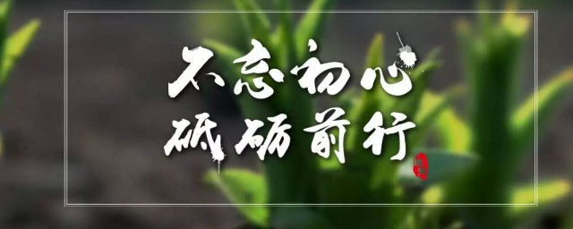 不忘初心砥砺前行意思 不忘初心砥砺前行意思介绍