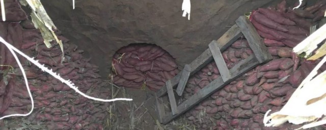 地窖怎么建 如何建造地窖