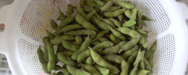 冷冻的毛豆的做法 冷冻的毛豆做法