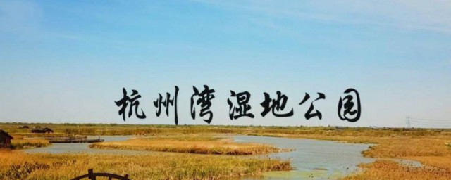 杭州湾湿地公园景点介绍 杭州湾湿地公园景点简介