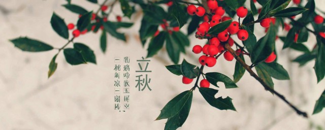 东北立秋吃什么 东北立秋的食物简介