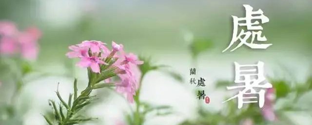 处暑文案短句 处暑说说有哪些