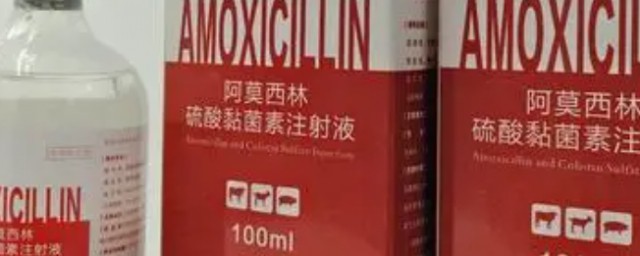 阿莫西林不能和什么一起吃 服用阿莫西林的禁忌