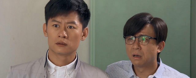 三妈两爸电视剧演员表 三妈两爸剧情简介