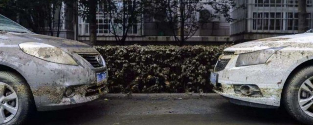 为什么不能买泡水车 泡水车不能要的原因