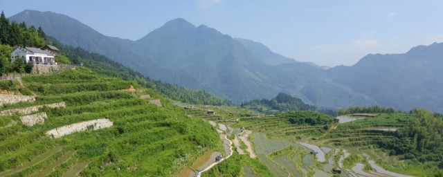 云和梯田景区游玩攻略 关于云和梯田景区游玩攻略