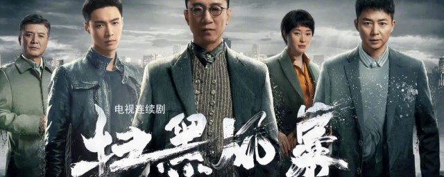 扫黑风暴演员表 扫黑风介绍