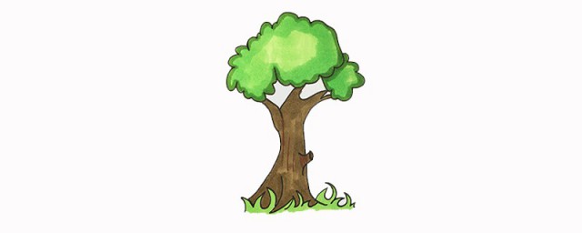 如何画树 大树简笔画教程