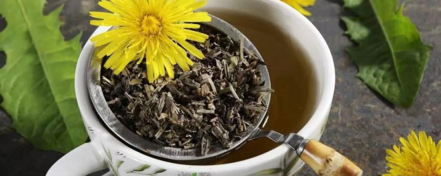 蒲公英怎样制成茶 如何做蒲公英茶