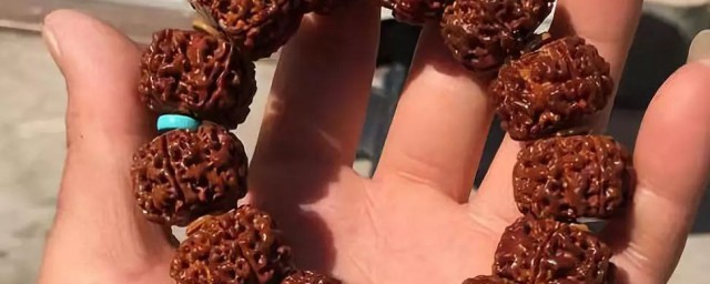 小金刚菩提子怎么盘 小金刚菩提子如何盘