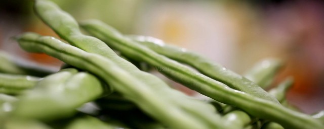 新鲜扁豆角怎么保存 新鲜扁豆角怎么冷冻呢