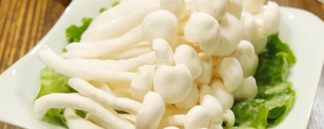 白雪菇的忌讳 白雪菇的忌讳是什么