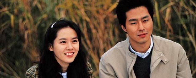 假如爱有天意主要讲什么 假如爱有天意剧情简介