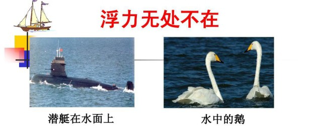 浮力产生的原理是什么 浮力产生的原因