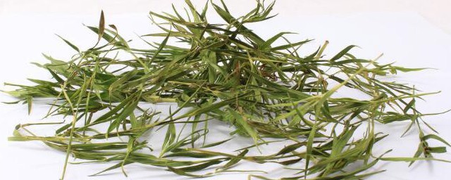 竹叶茶喝多了会怎么样 竹叶茶喝多了好不好
