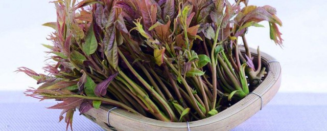 香椿芽的腌制方法 怎样腌制香椿芽