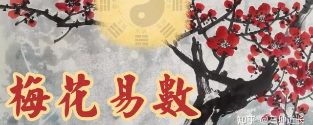 什么人不能学梅花易数 啥人不能学梅花易数
