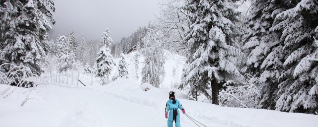 雪骤如何解释 雪骤的含义