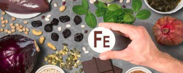 哪些食物中含铁量较丰富 含铁量较丰富的食物简介
