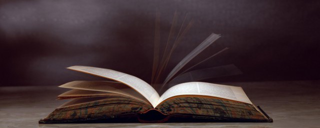 譬如人眼中有瞳子无此必不明的意思 譬如人眼中有瞳子无此必不明是什么意思