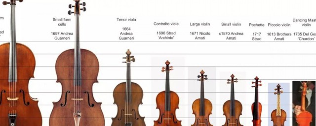提琴分几种类型 提琴介绍