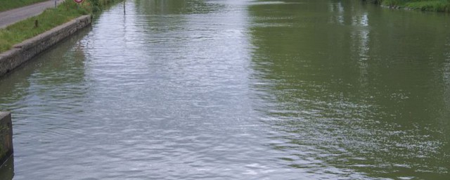 水质变黑怎么处理方法 鱼塘水质变黑的处理方法介绍