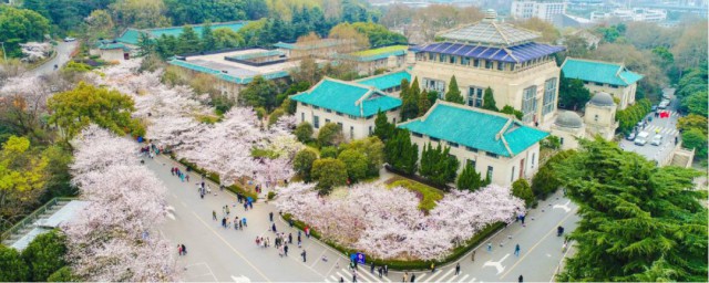 武汉的大学介绍 武汉的大学简单简介