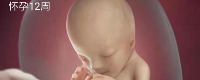怀孕几个月可以看男女 怀孕多久能看出男女?