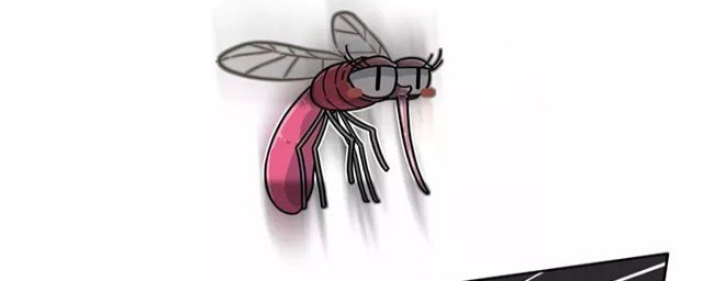 如何灭蚊子 灭蚊子方法