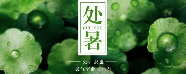 处暑如何养生 处暑养生注意事项