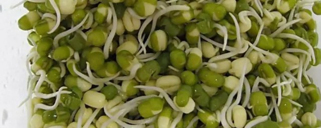 豌豆发芽能吃吗 豌豆发芽能不能吃