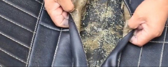 如何清洗皮具霉迹 清洗皮具霉迹 的办法