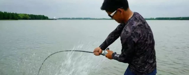 路亚如何钓浮钓底 路亚怎么钓浮钓底