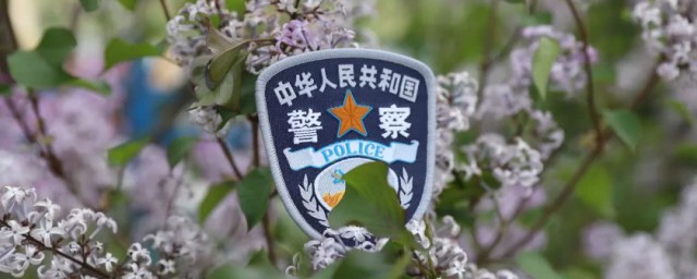 梦见被警察抓是什么意思 梦见被警察抓的意思解析