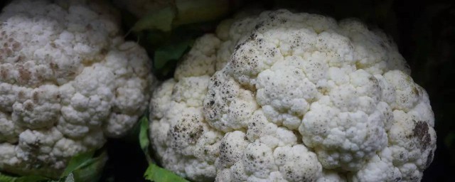 花菜有黑点还可以吃吗 花菜有黑点还可不可以吃