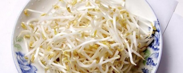 豆芽什么人不能吃 食用豆芽的禁忌