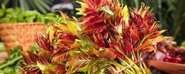 香椿芽要焯水吗 香椿芽要不要焯水