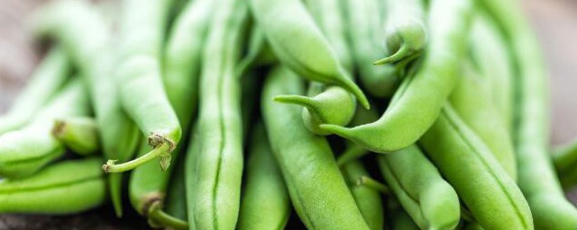 四季豆里有虫怎么办 四季豆里有虫的解决方法