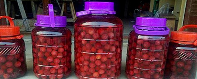 杨梅泡酒怎么做 杨梅泡酒做法