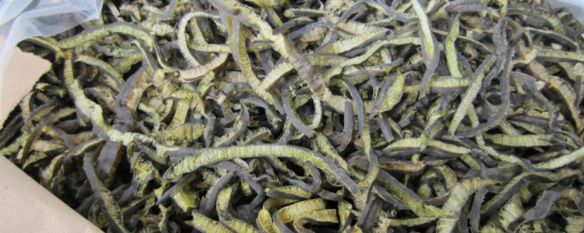 海茸食用禁忌 海茸食用禁忌是什么