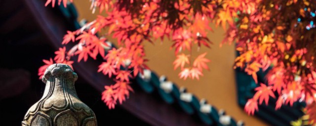 常恐秋节至焜黄华叶衰的华什么意思 常恐秋节至焜黄华叶衰释义