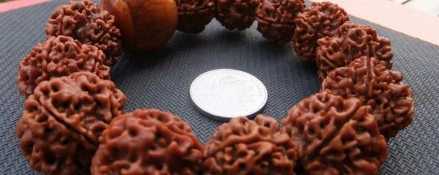 金刚菩提有哪些颜色 金刚菩提颜色简介