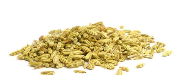 茴香怎样储存冬天吃 新鲜的茴香如何保存