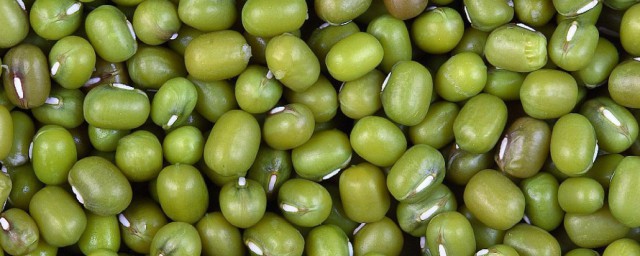 绿豆是发物吗 绿豆是不是发物