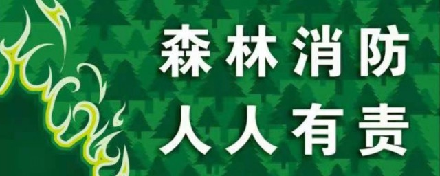 森林防火黑板报内容 有关森林防火黑板报内容