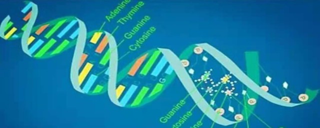 生物手抄报内容 有关生物手抄报内容