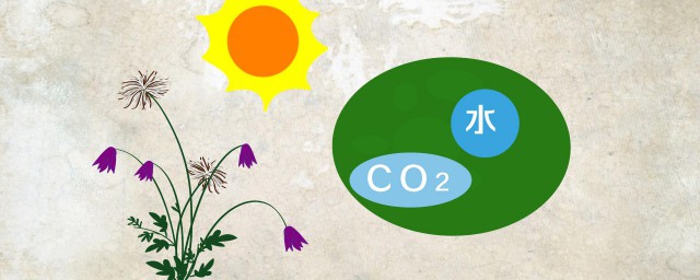 二氧化碳是有机物吗 二氧化碳是不是有机物