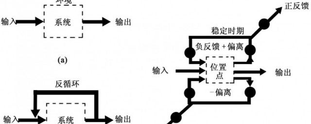 什么是反馈调节 反馈调节意思·