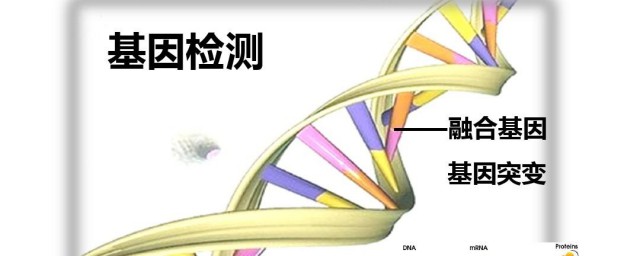 什么叫融合基因 融合基因简介