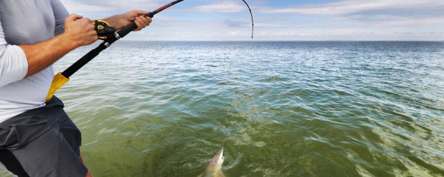 海钓马步鱼要领教程 海钓马步鱼都有哪些要领